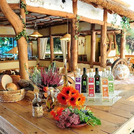 Hotel Kelten-hotel 3*